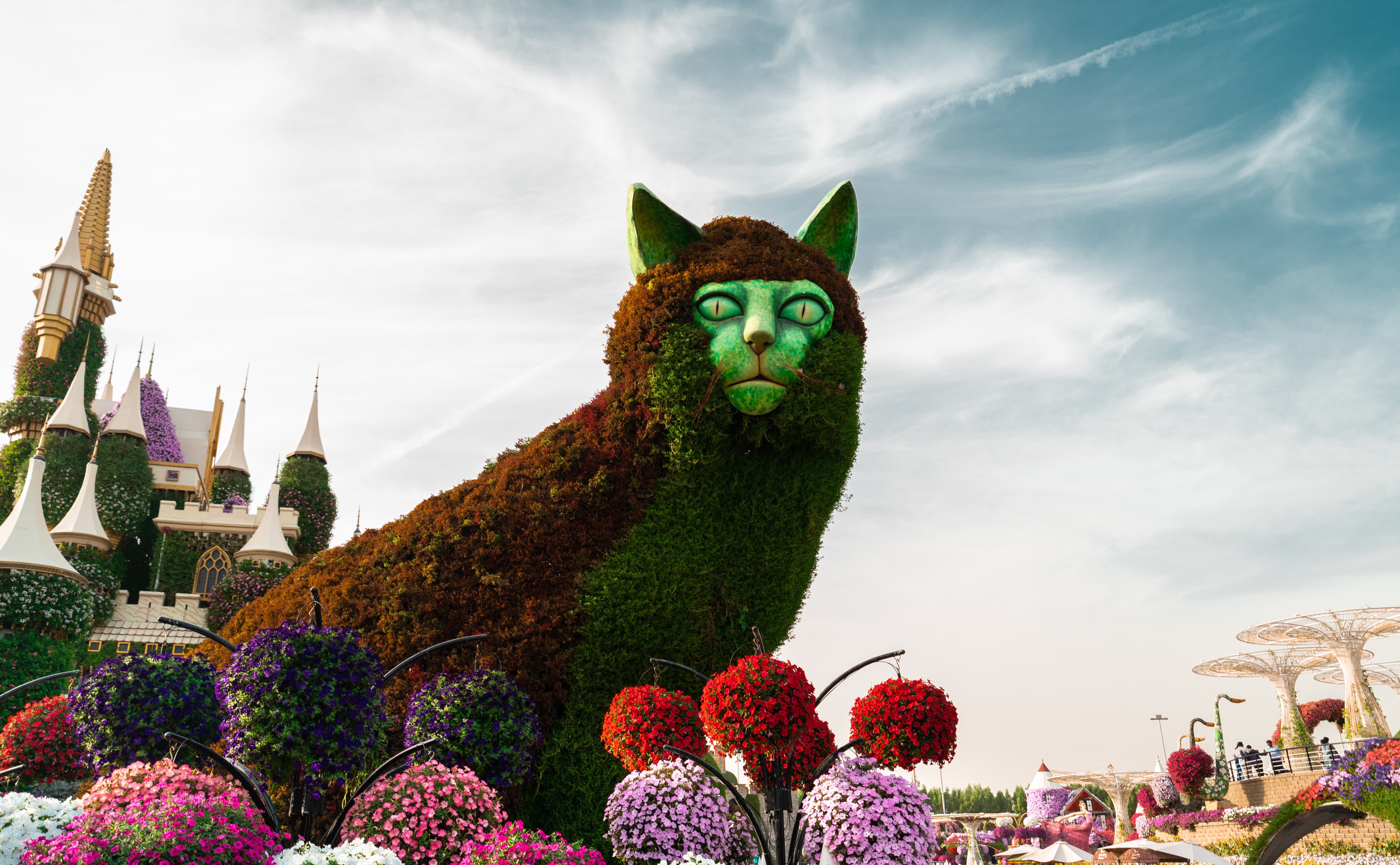 Discovering Wonderland: The Miracle Garden in Dubai